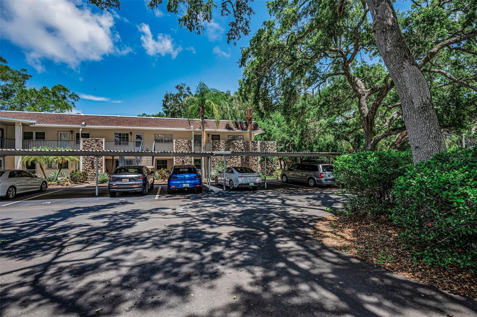 820 PATRICIA AVE #109, DUNEDIN, FL, 34698
