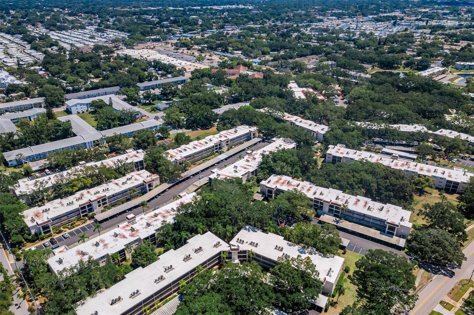 820 PATRICIA AVE #109, DUNEDIN, FL, 34698