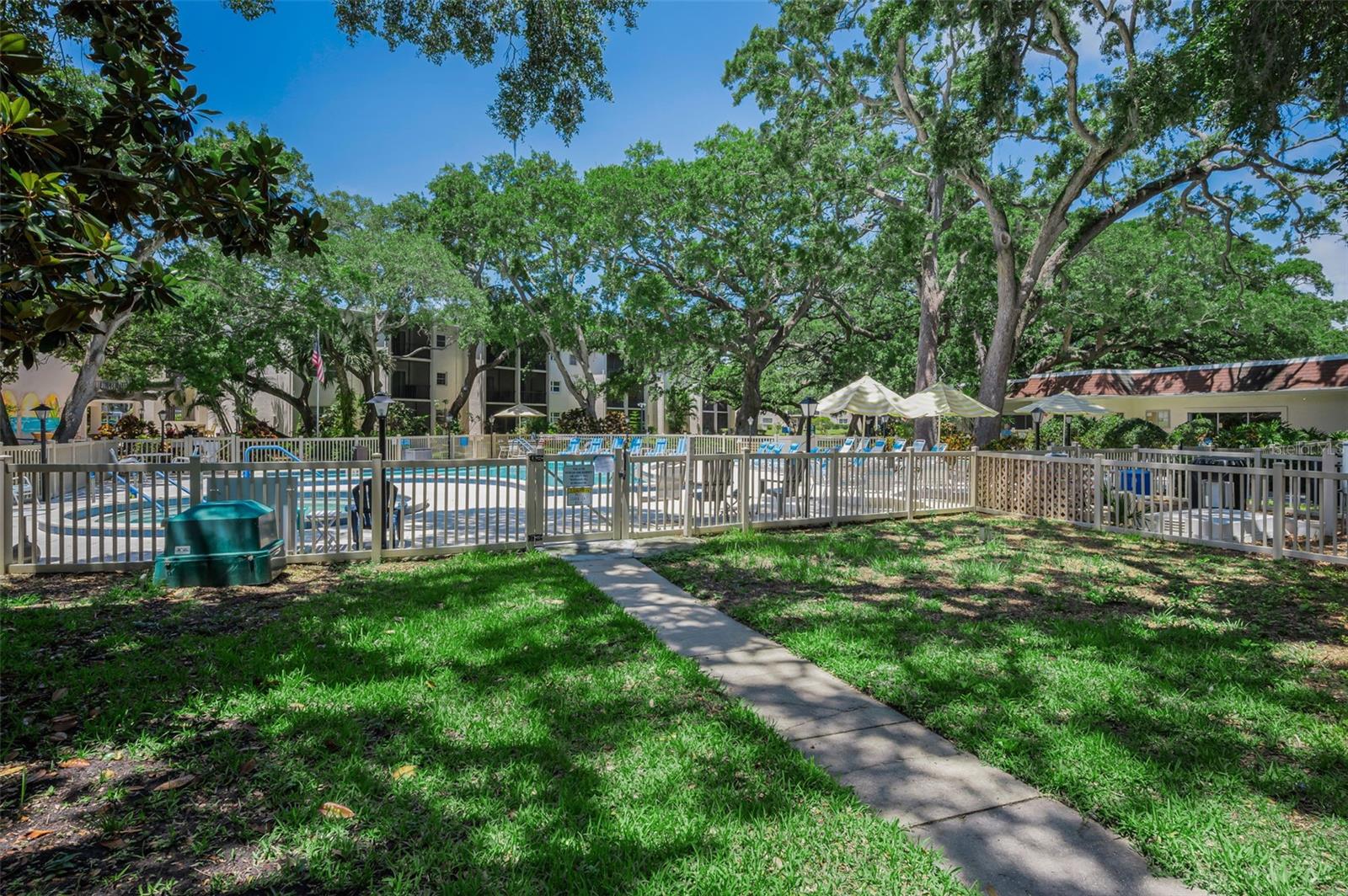 820 PATRICIA AVE #109, DUNEDIN, FL, 34698