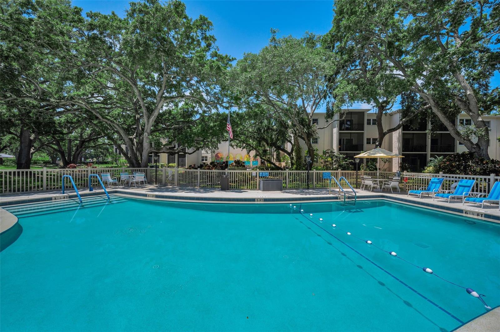820 PATRICIA AVE #109, DUNEDIN, FL, 34698
