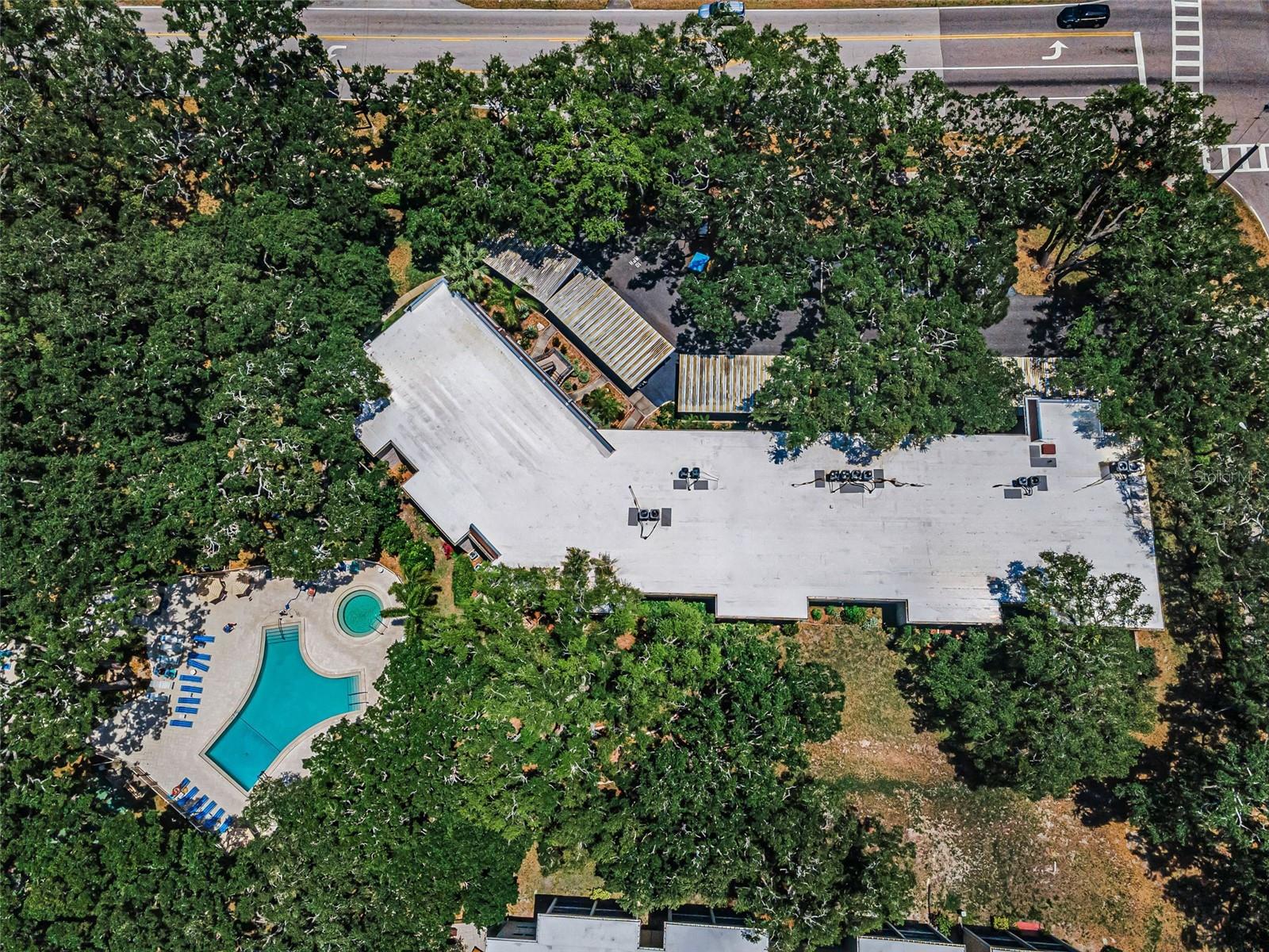 820 PATRICIA AVE #109, DUNEDIN, FL, 34698