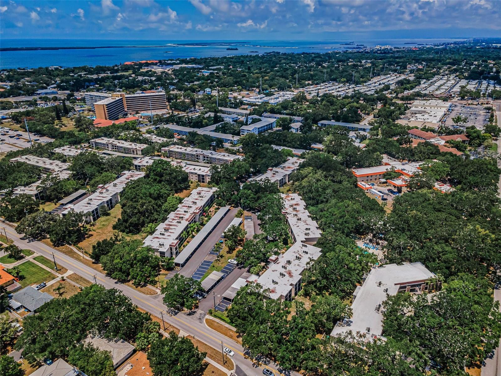 820 PATRICIA AVE #109, DUNEDIN, FL, 34698