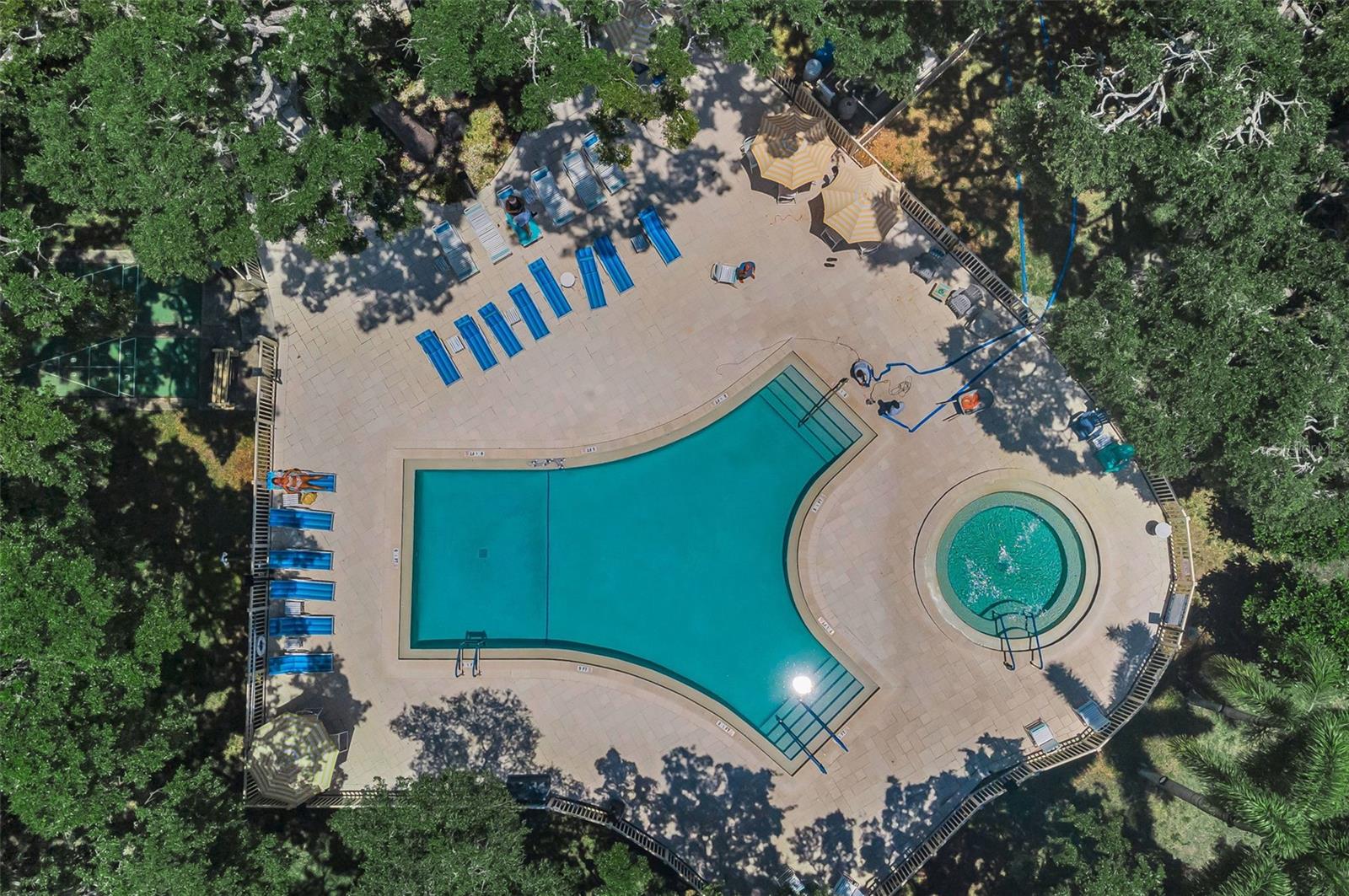 820 PATRICIA AVE #109, DUNEDIN, FL, 34698