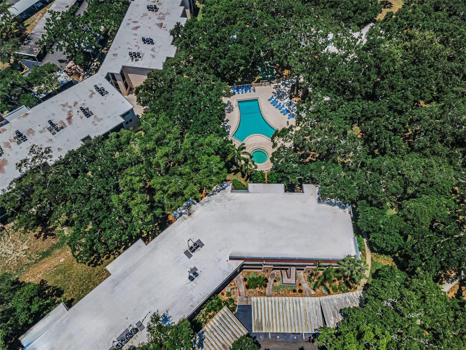 820 PATRICIA AVE #109, DUNEDIN, FL, 34698