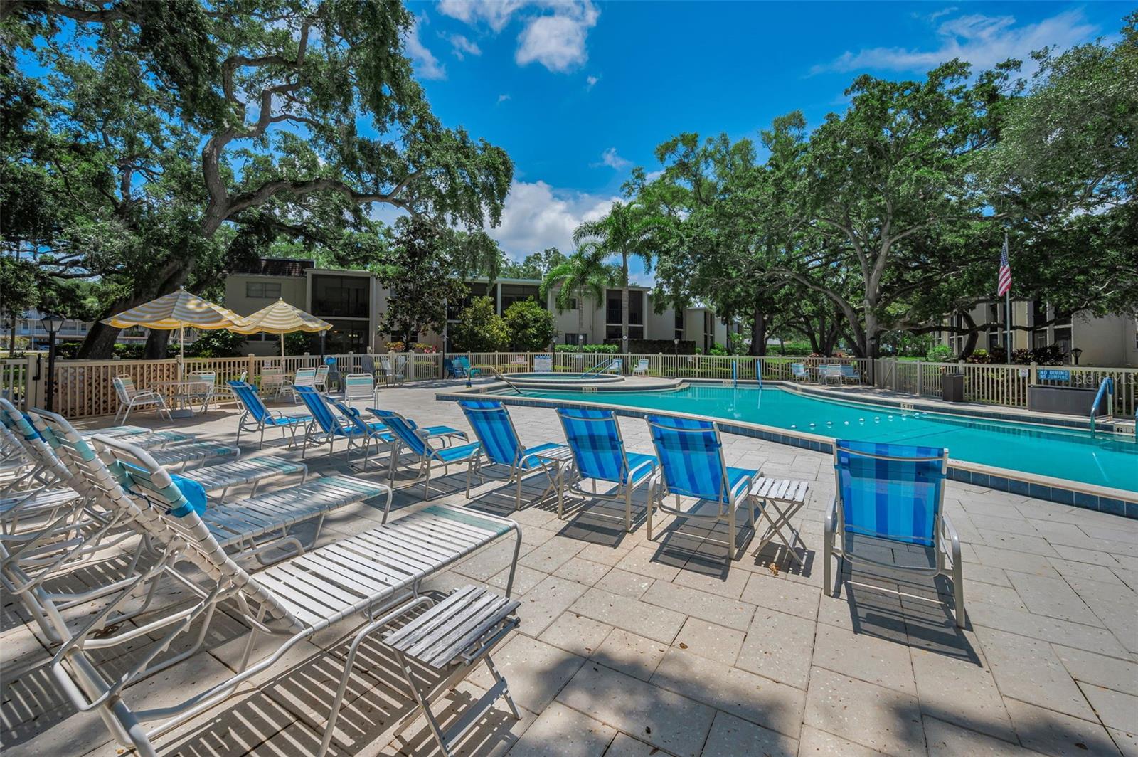 820 PATRICIA AVE #109, DUNEDIN, FL, 34698