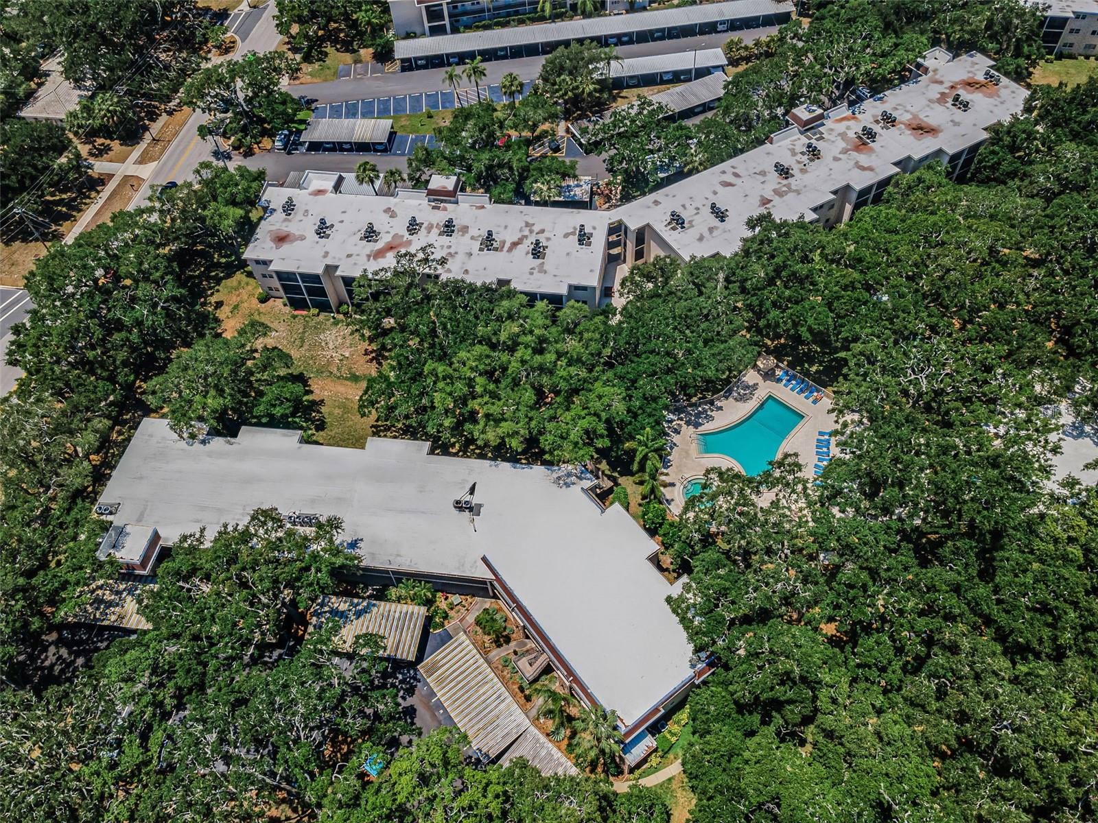 820 PATRICIA AVE #109, DUNEDIN, FL, 34698