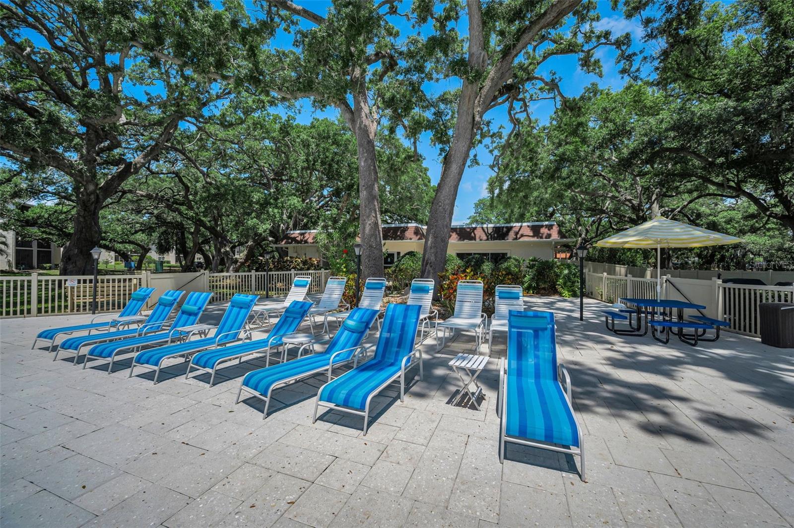 820 PATRICIA AVE #109, DUNEDIN, FL, 34698
