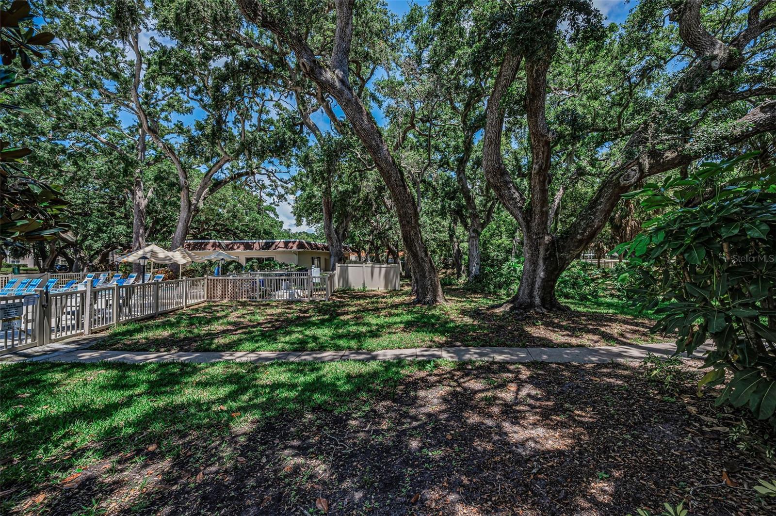 820 PATRICIA AVE #109, DUNEDIN, FL, 34698