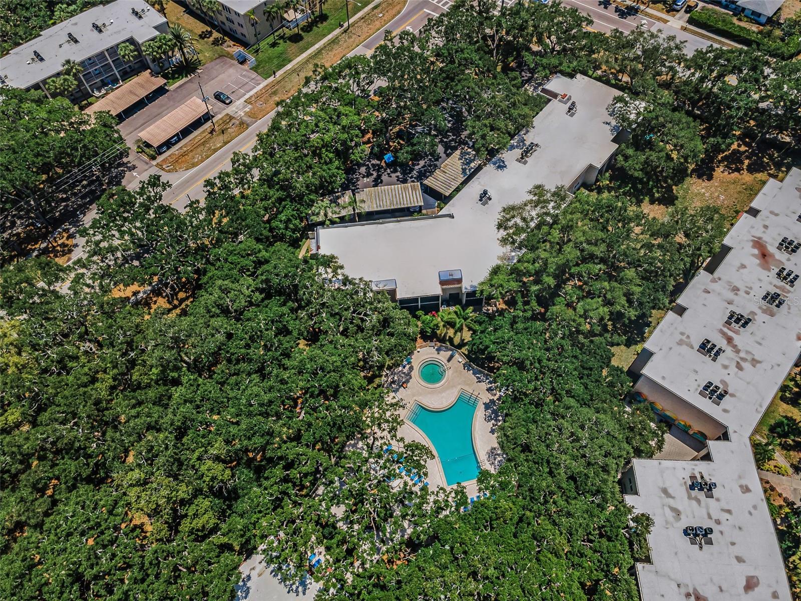 820 PATRICIA AVE #109, DUNEDIN, FL, 34698
