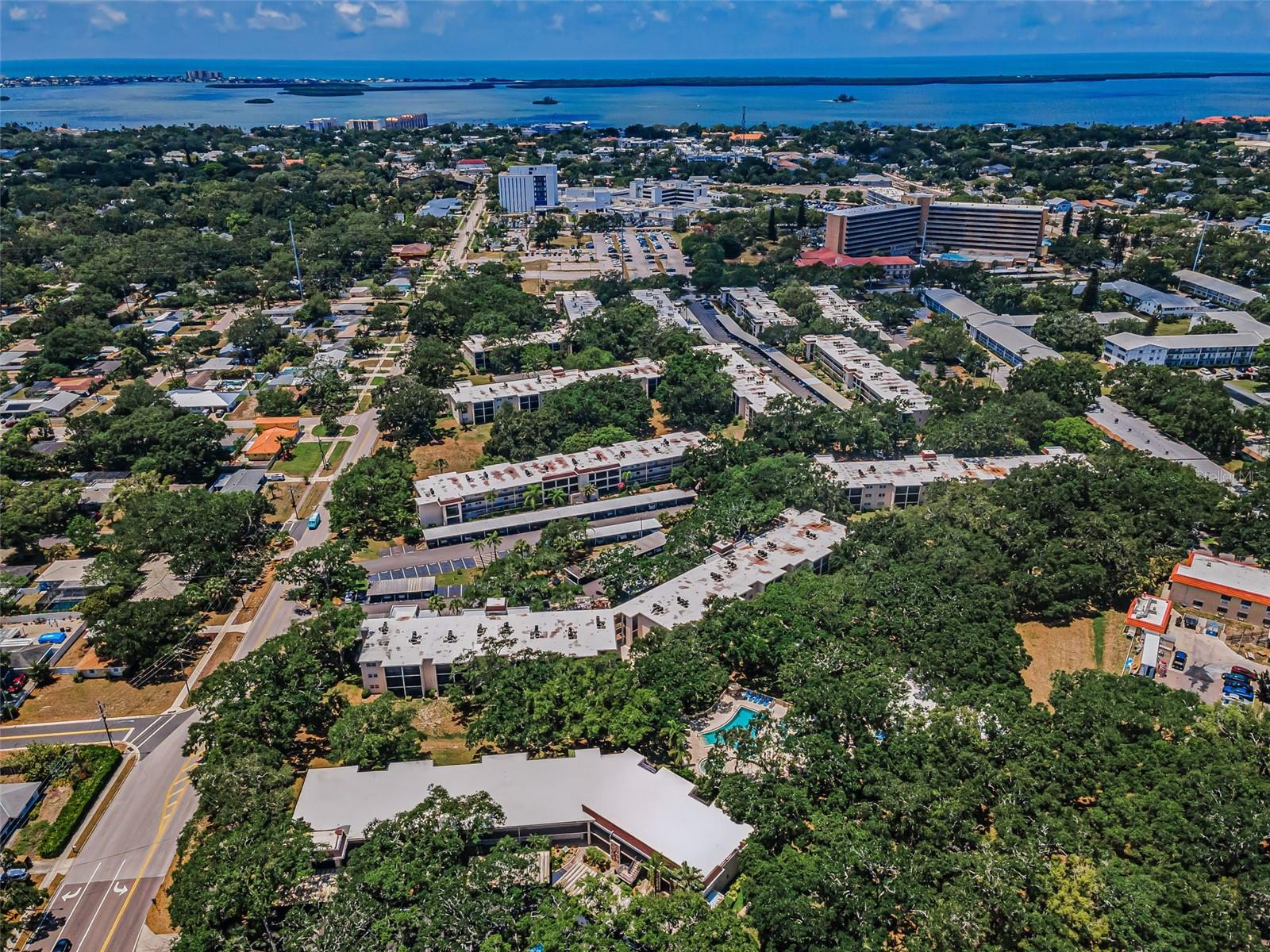 820 PATRICIA AVE #109, DUNEDIN, FL, 34698