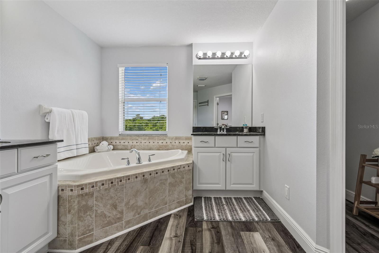 11509 DUTCH IRIS DR, RIVERVIEW, FL, 33578