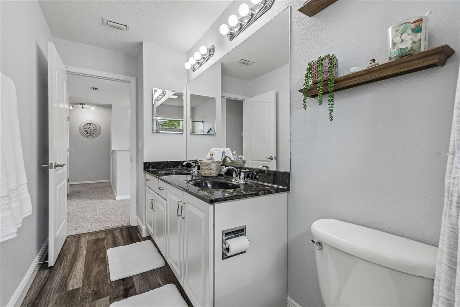 11509 DUTCH IRIS DR, RIVERVIEW, FL, 33578