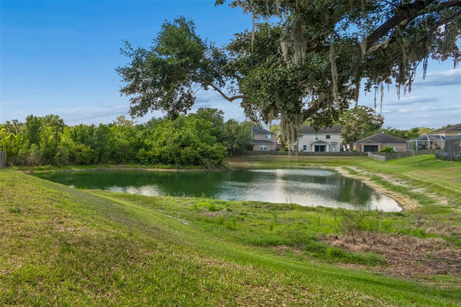 11509 DUTCH IRIS DR, RIVERVIEW, FL, 33578