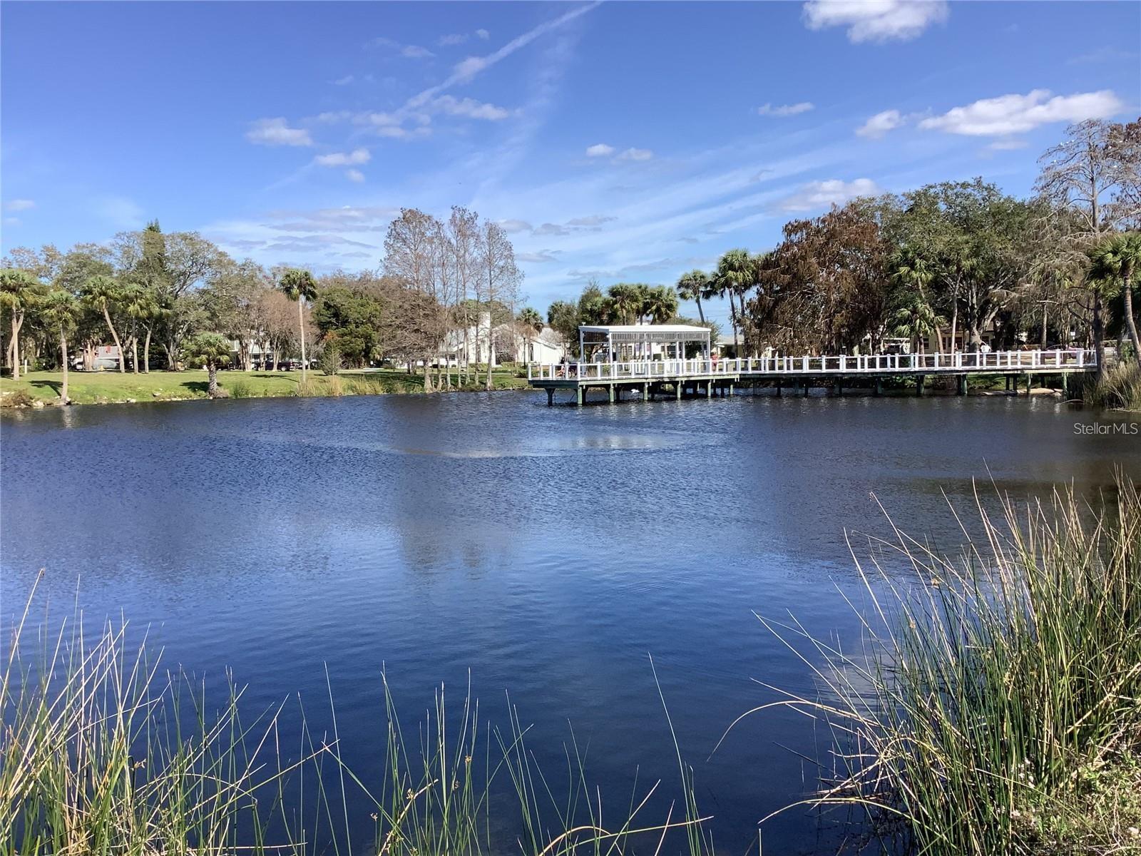 4736 JASPER DR #207, NEW PORT RICHEY, FL, 34652