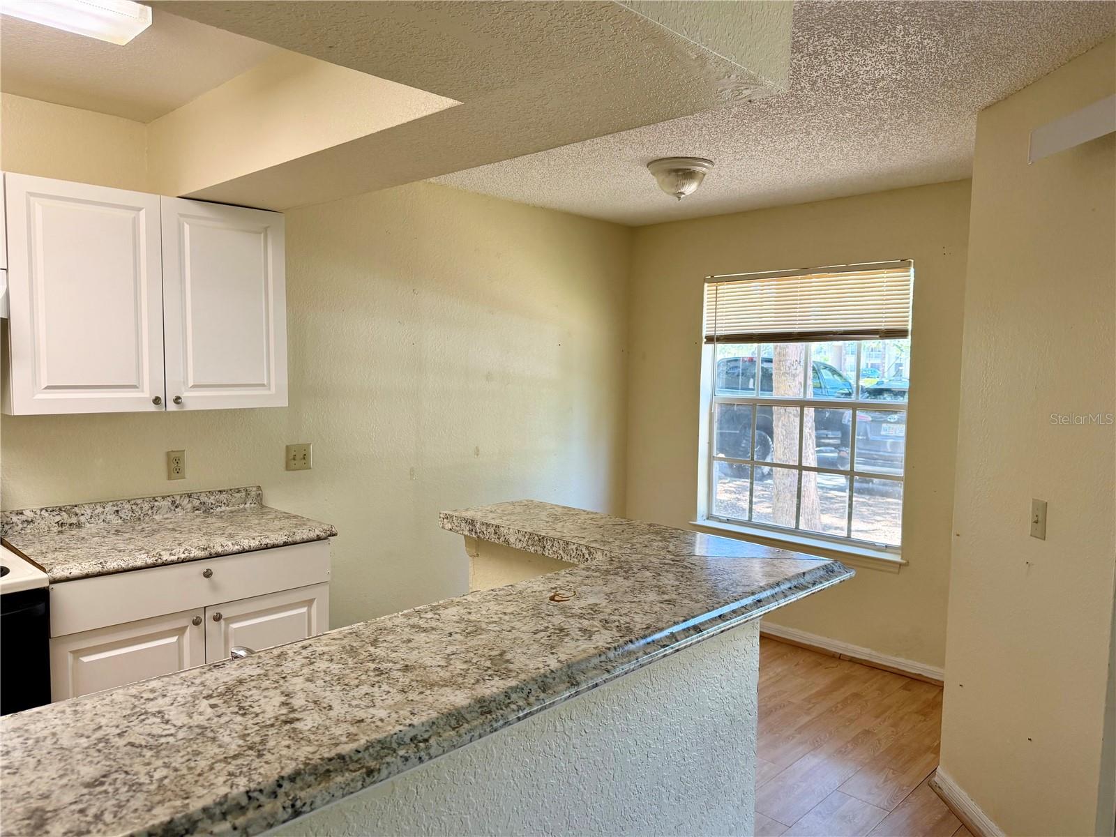 1021 S HIAWASSEE RD #3915, ORLANDO, FL, 32835
