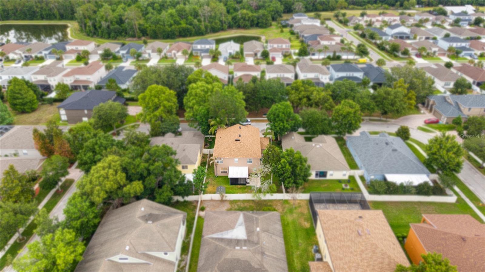 6932 GRAY CATBIRD LOOP, WESLEY CHAPEL, FL, 33545