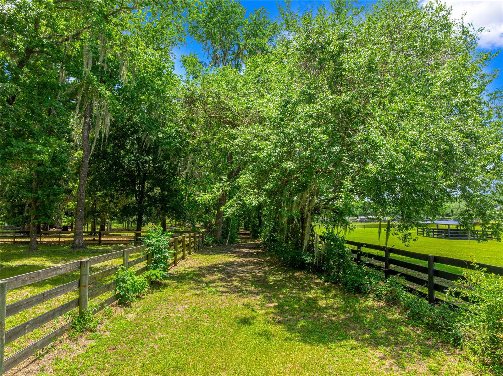9041 SW 14TH AVE, OCALA, FL, 34476
