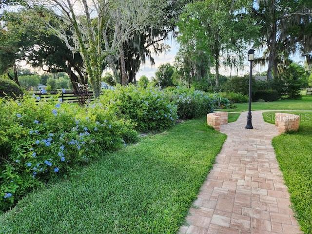 9041 SW 14TH AVE, OCALA, FL, 34476