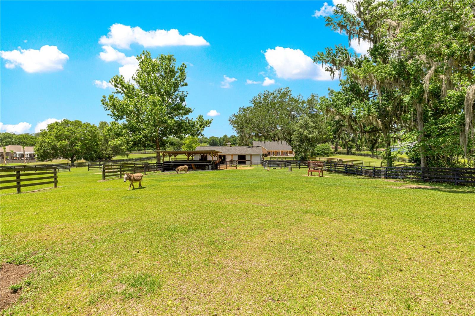 9041 SW 14TH AVE, OCALA, FL, 34476