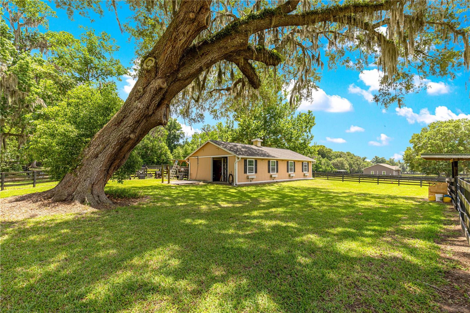 9041 SW 14TH AVE, OCALA, FL, 34476