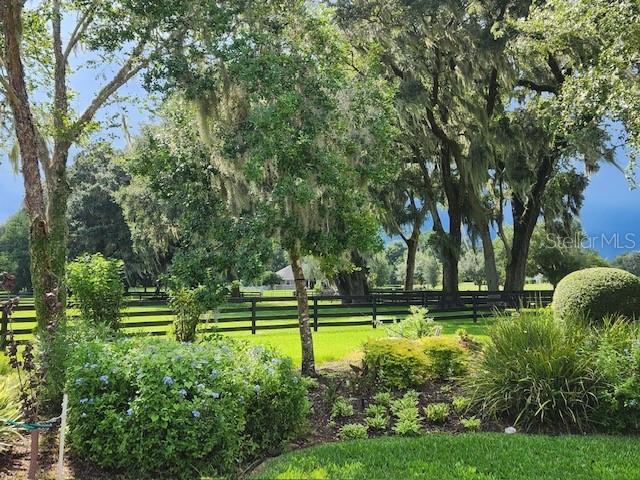 9041 SW 14TH AVE, OCALA, FL, 34476