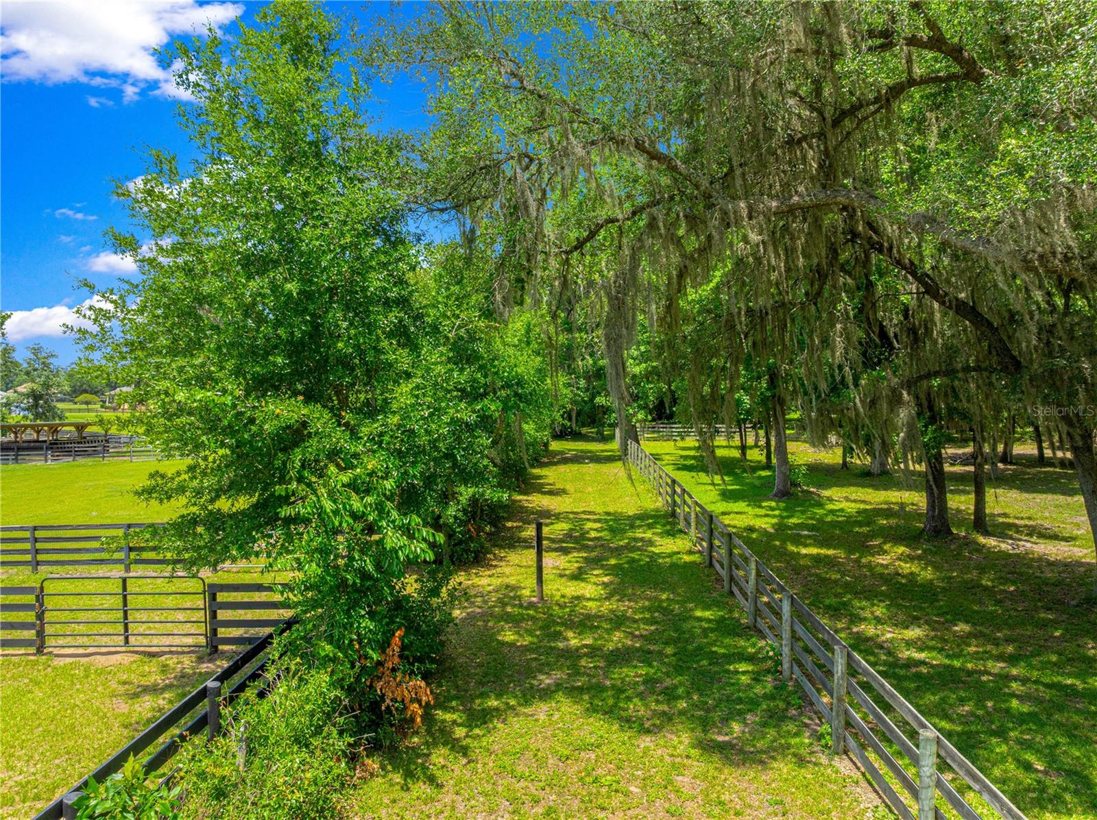 9041 SW 14TH AVE, OCALA, FL, 34476