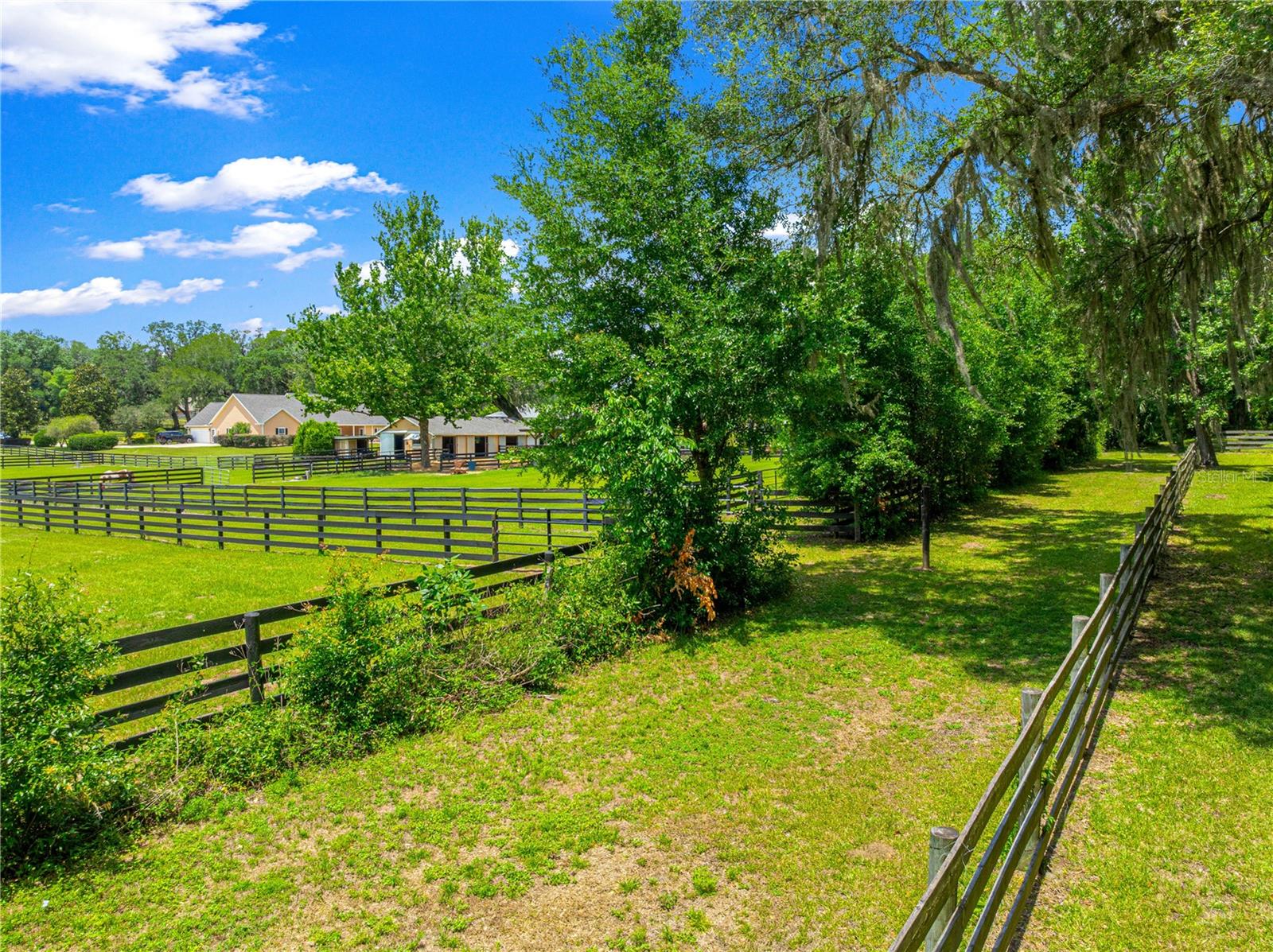 9041 SW 14TH AVE, OCALA, FL, 34476