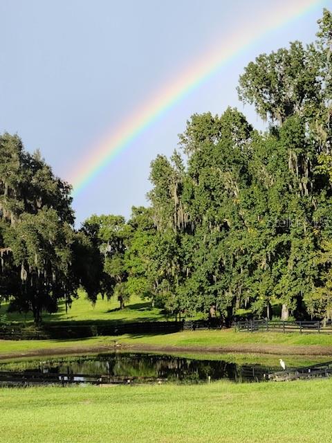 9041 SW 14TH AVE, OCALA, FL, 34476