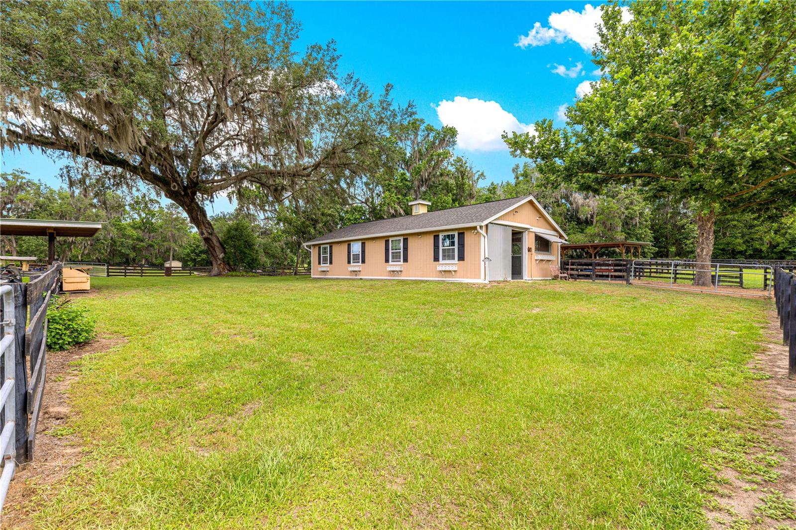 9041 SW 14TH AVE, OCALA, FL, 34476