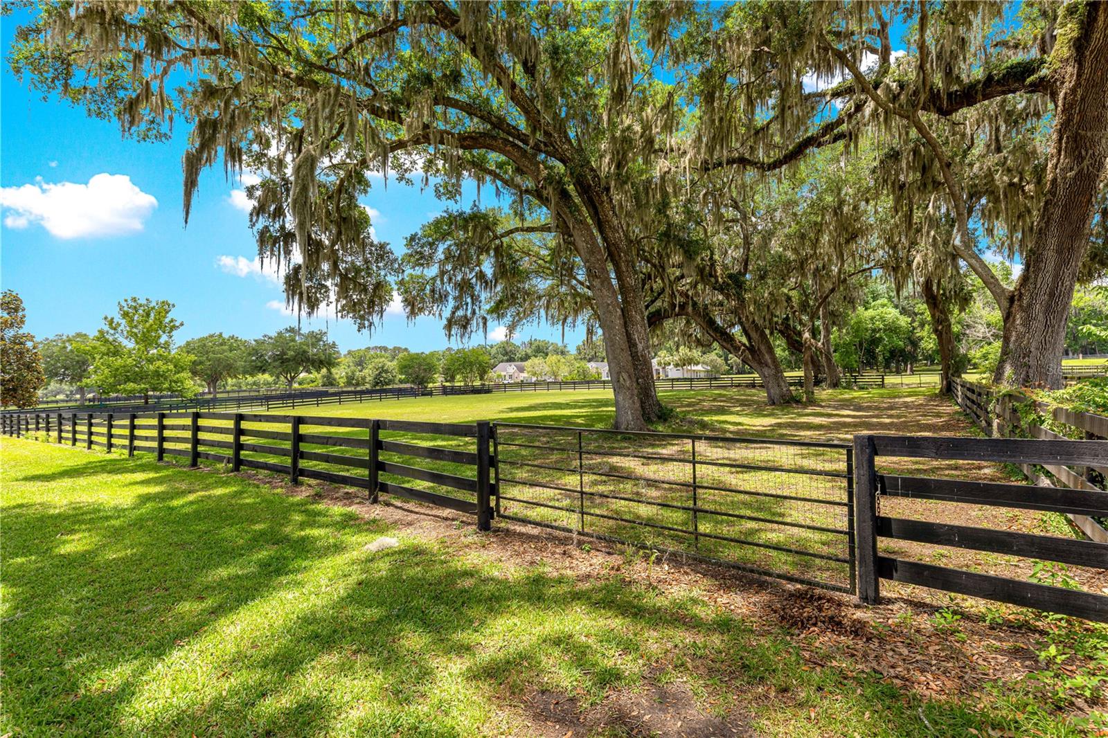 9041 SW 14TH AVE, OCALA, FL, 34476