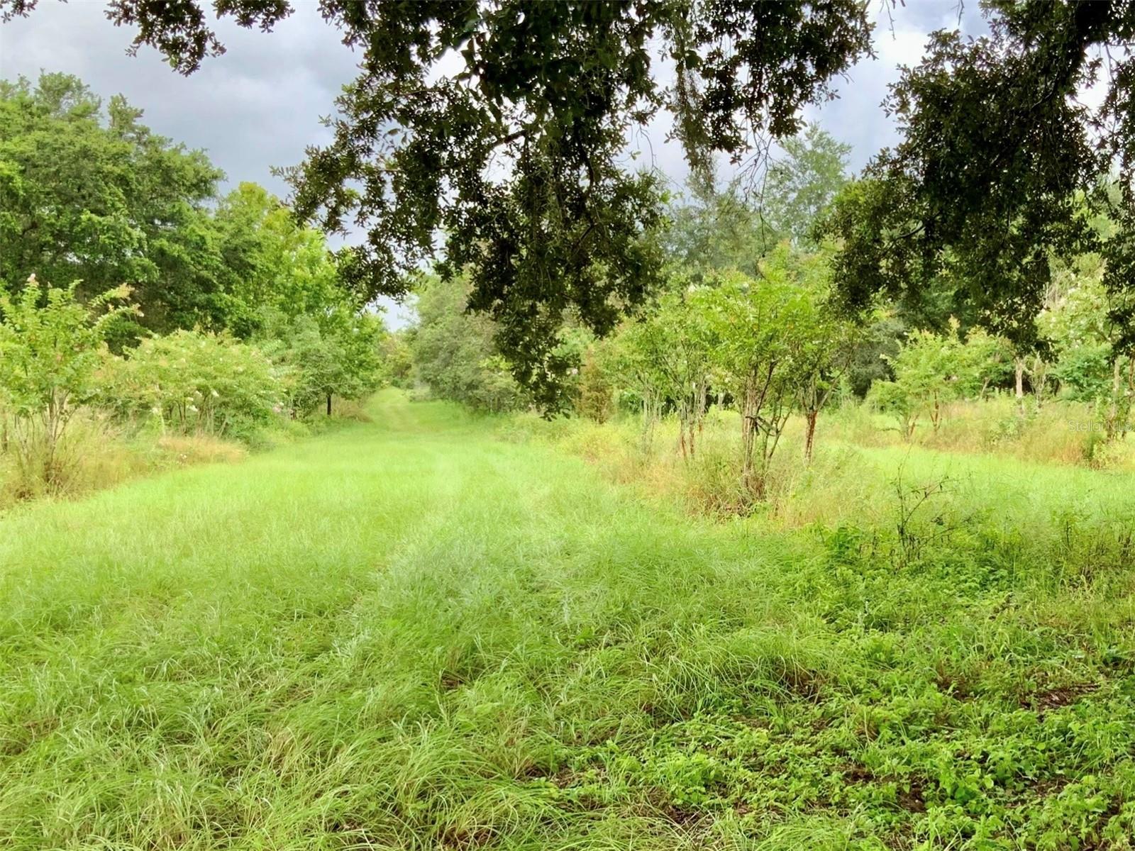5079 ONDICH RD, APOPKA, FL, 32712