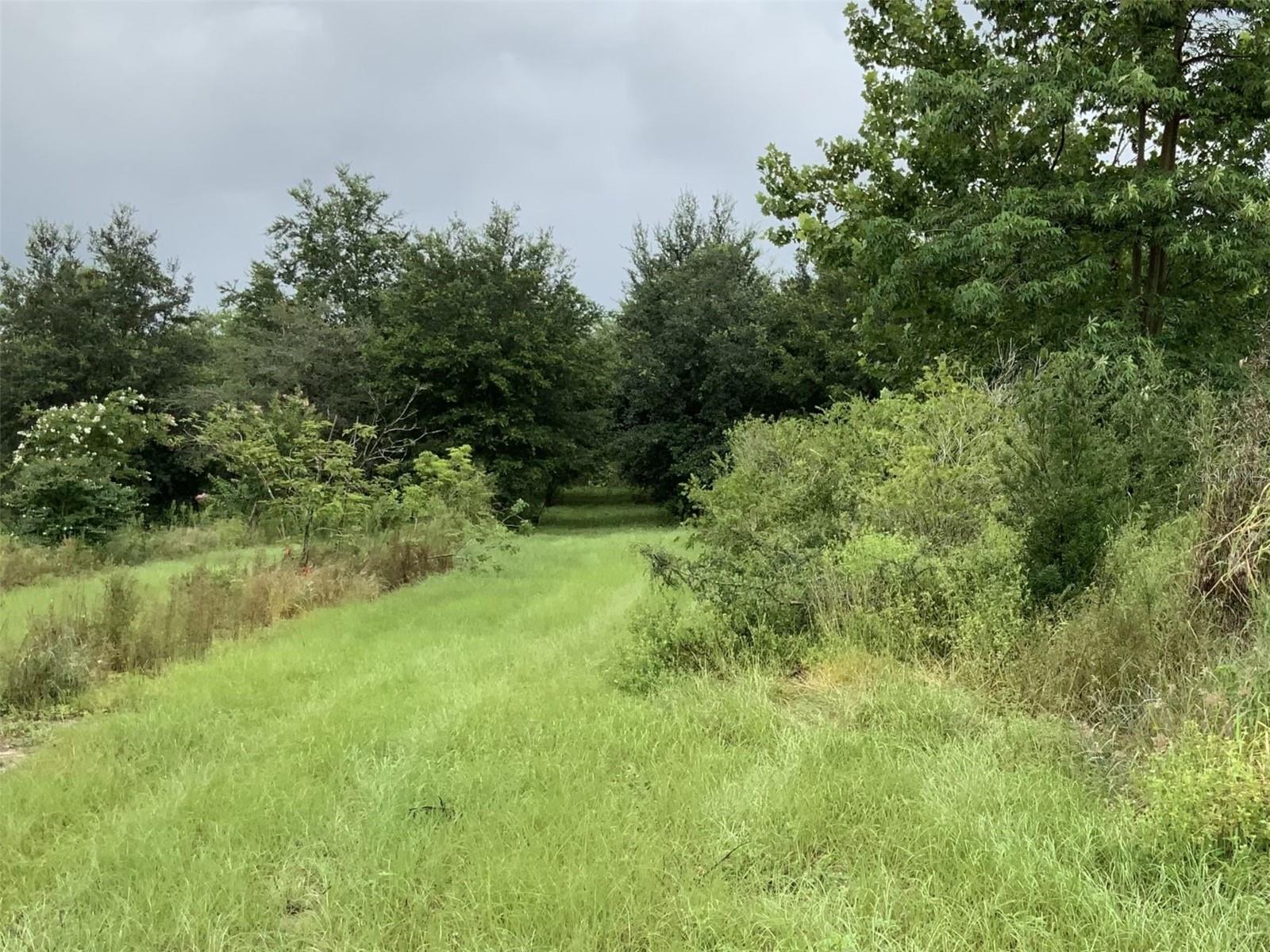5079 ONDICH RD, APOPKA, FL, 32712