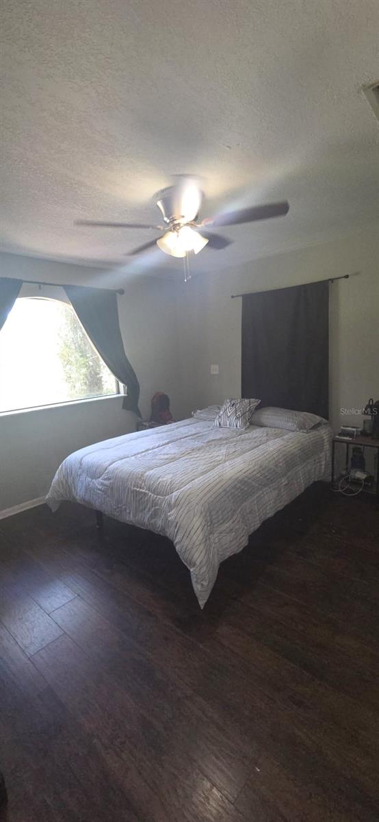 4322 CASAURINA RD, LADY LAKE, FL, 32159