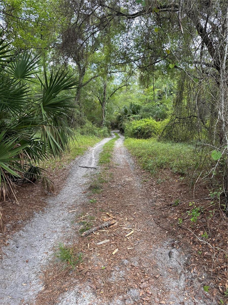 8744 W OAK ST, CRYSTAL RIVER, FL, 34428