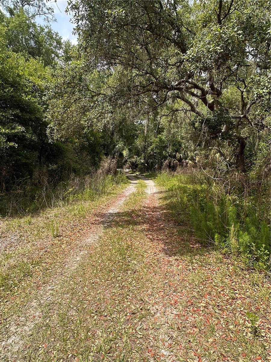 8744 W OAK ST, CRYSTAL RIVER, FL, 34428