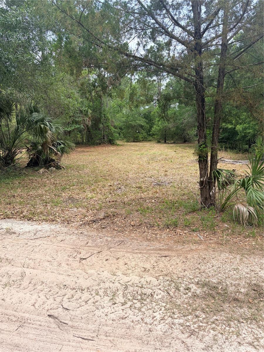 8744 W OAK ST, CRYSTAL RIVER, FL, 34428