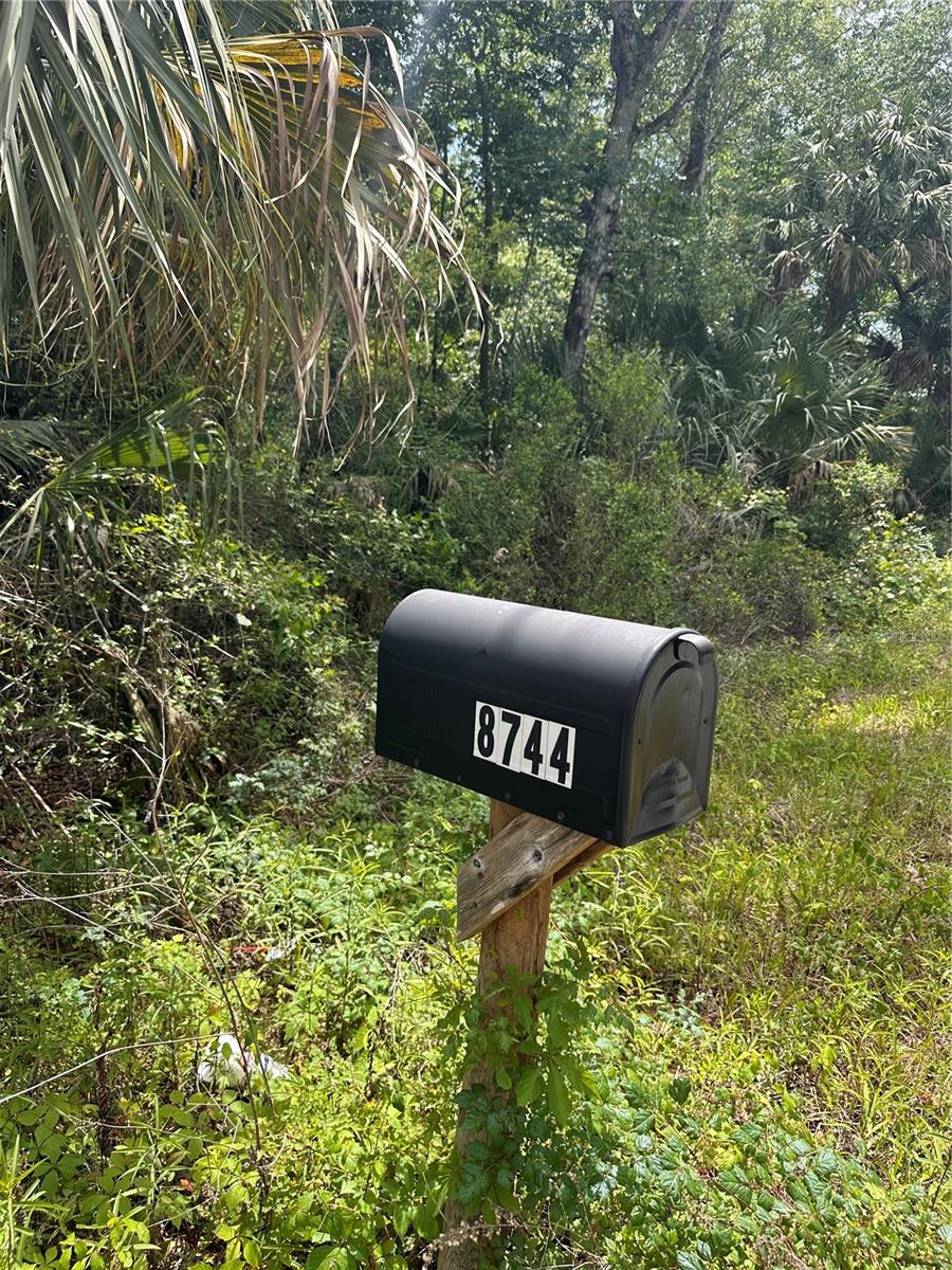 8744 W OAK ST, CRYSTAL RIVER, FL, 34428