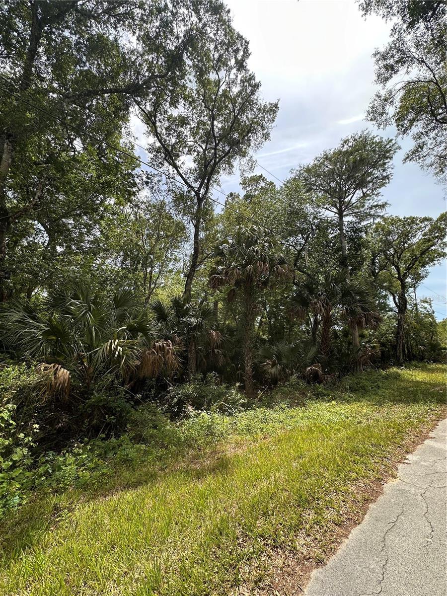 8744 W OAK ST, CRYSTAL RIVER, FL, 34428