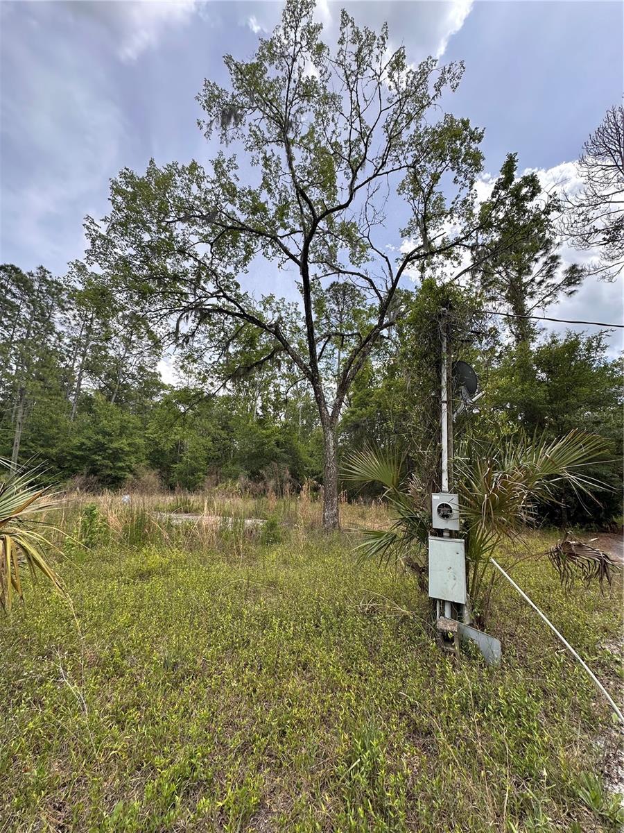 8744 W OAK ST, CRYSTAL RIVER, FL, 34428