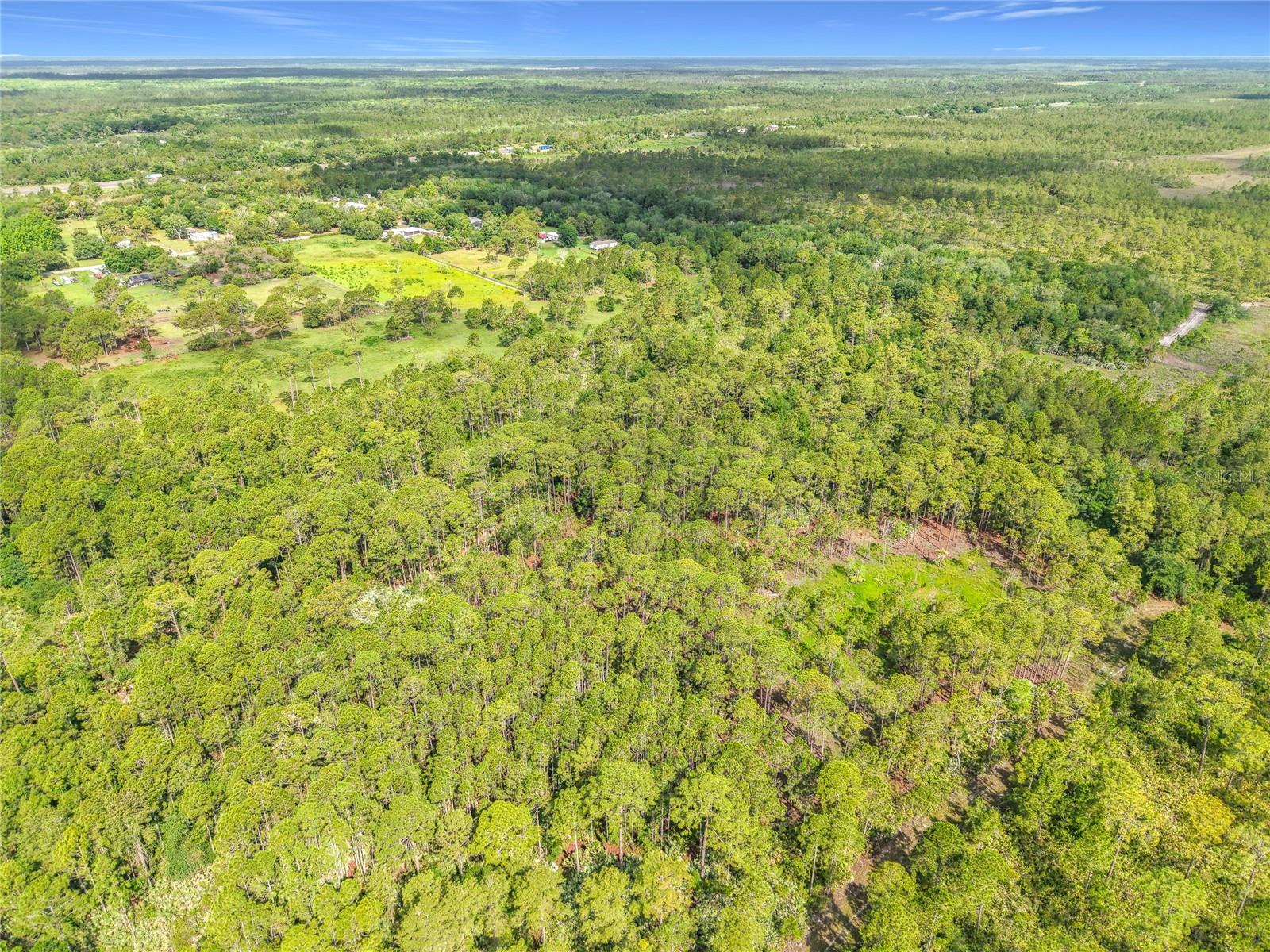 20G3403-AI-5-3.03, MIMS, FL, 32754