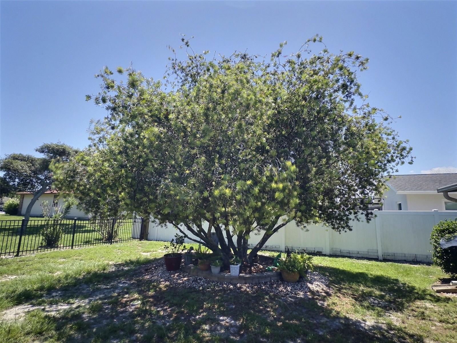 34 FELTER LN, PALM COAST, FL, 32137