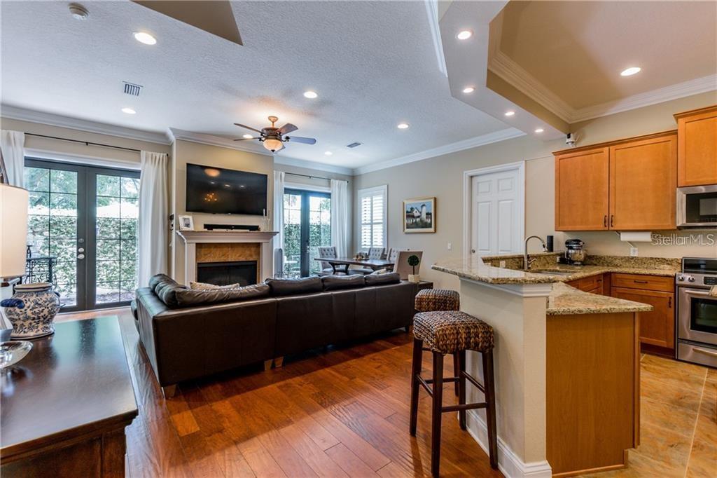 3814 VILLAS DEL SOL CT, TAMPA, FL, 33609