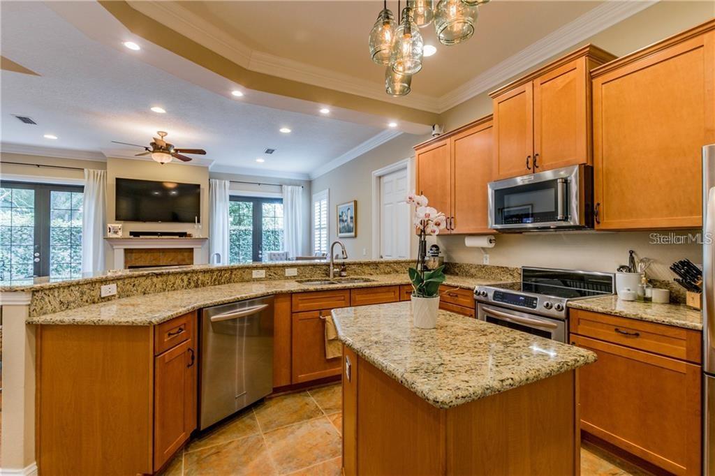 3814 VILLAS DEL SOL CT, TAMPA, FL, 33609