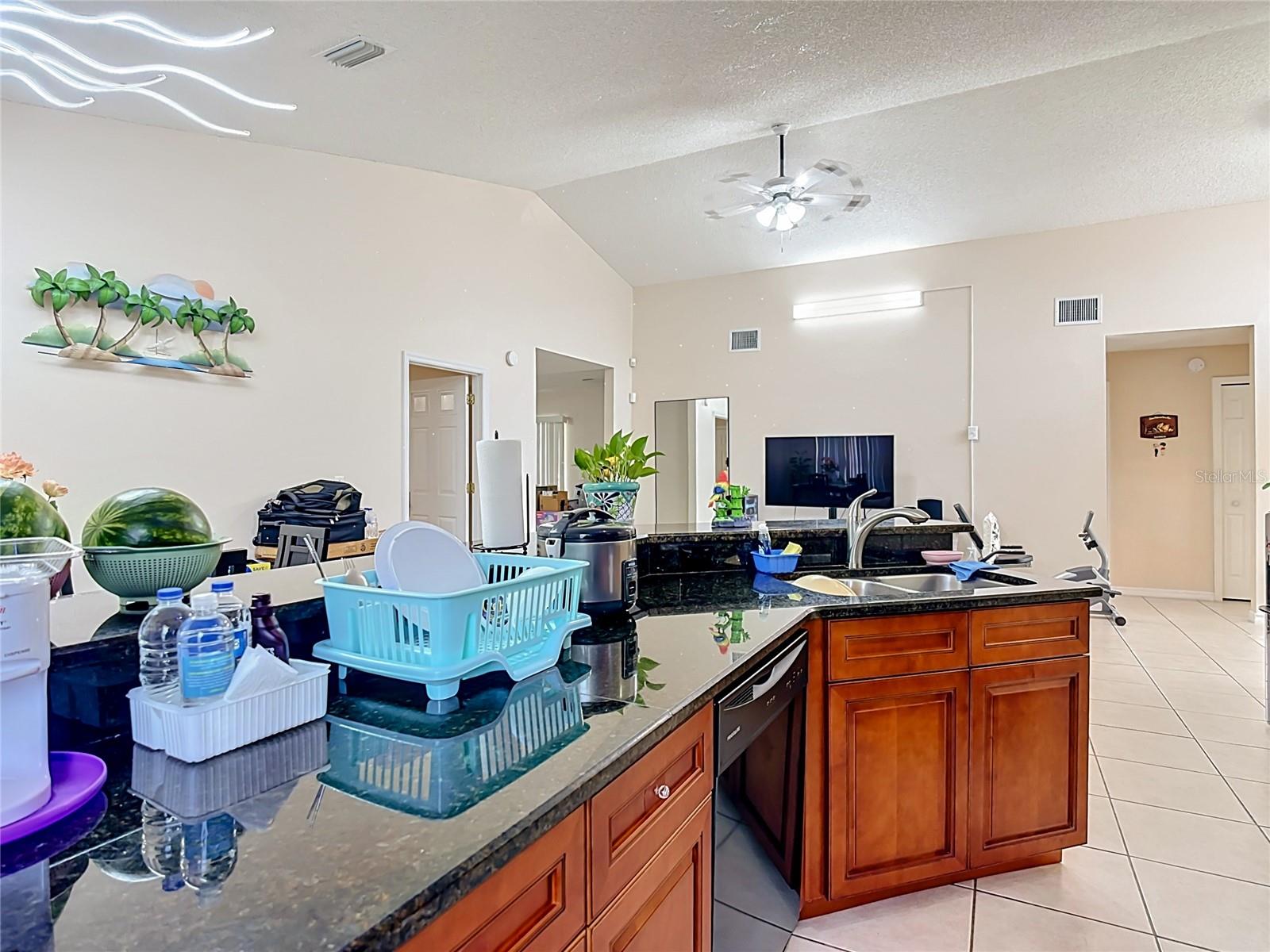 1036 DUDLEY DR, KISSIMMEE, FL, 34758