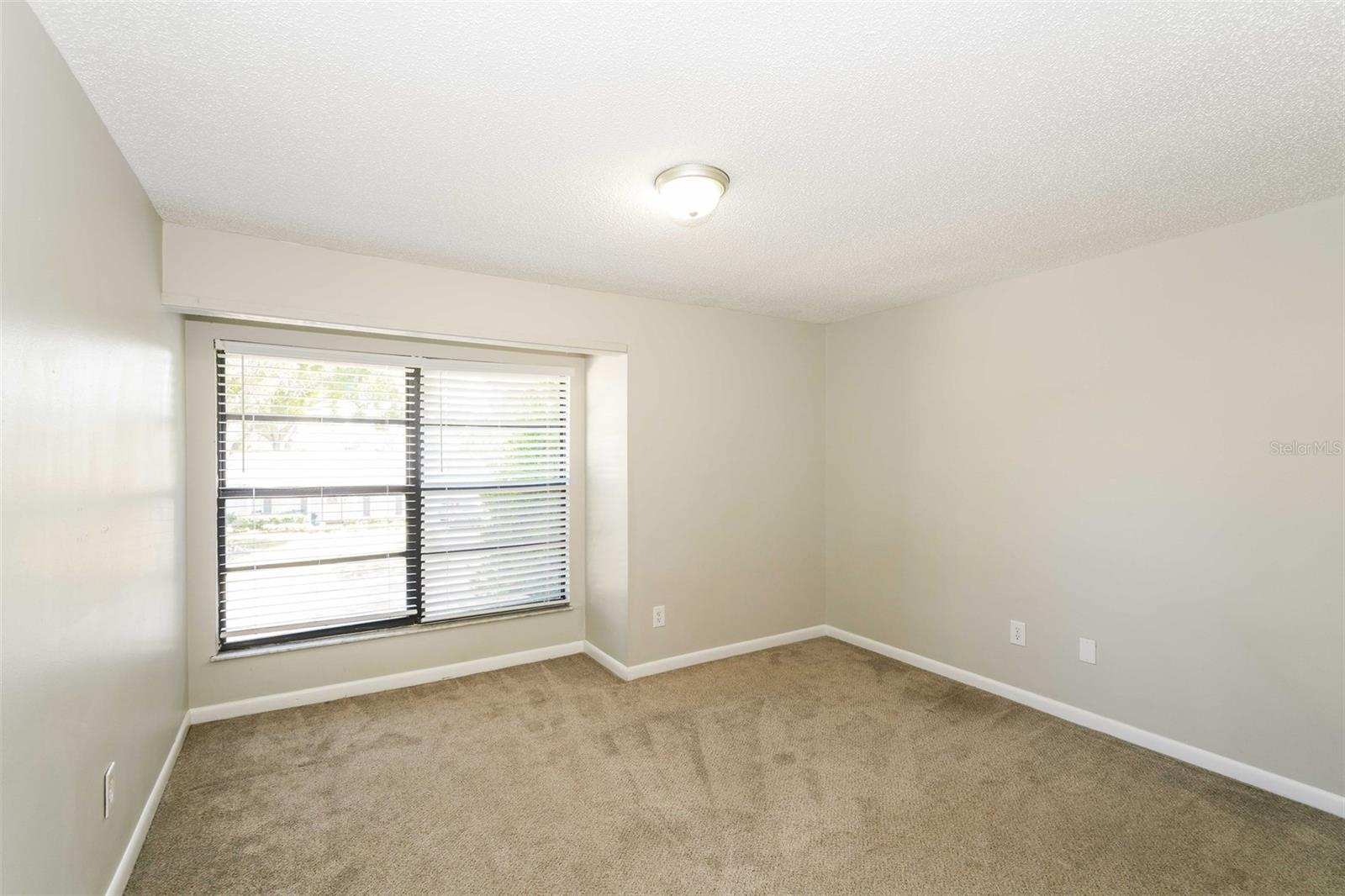 8229 MALVERN CIR, TAMPA, FL, 33634