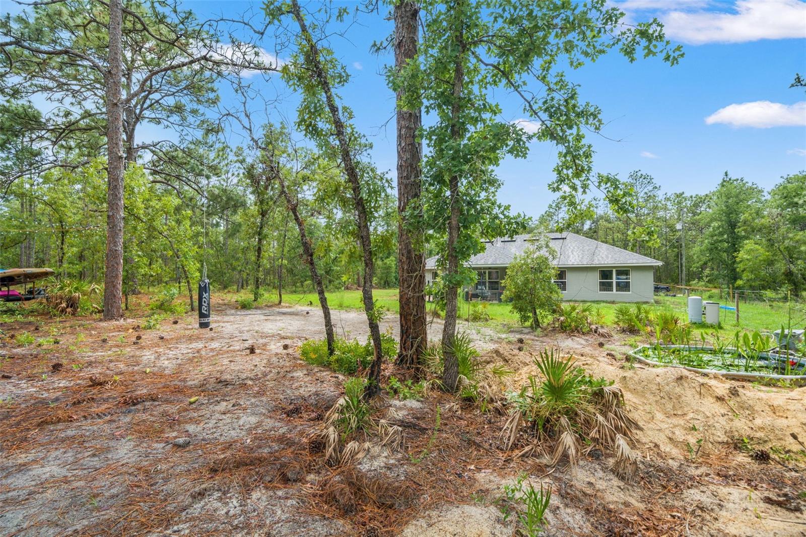 18336 MACEK RD, WEEKI WACHEE, FL, 34614
