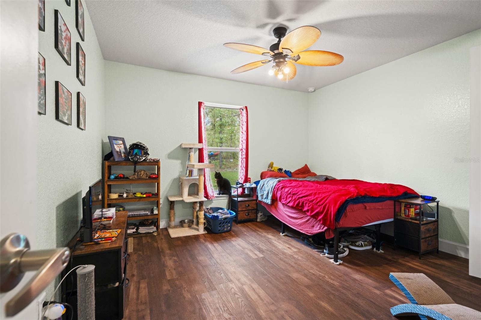 18336 MACEK RD, WEEKI WACHEE, FL, 34614