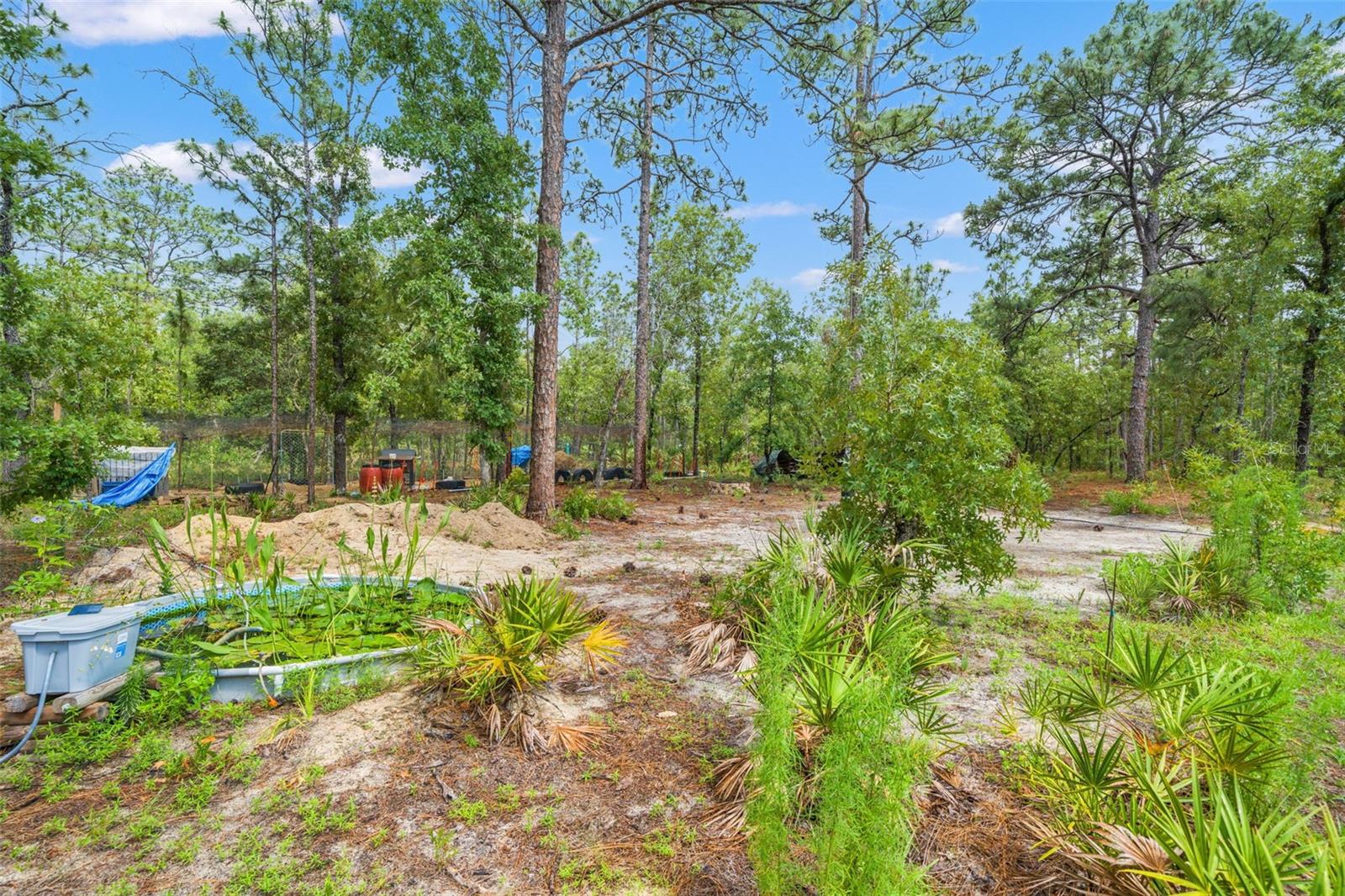 18336 MACEK RD, WEEKI WACHEE, FL, 34614