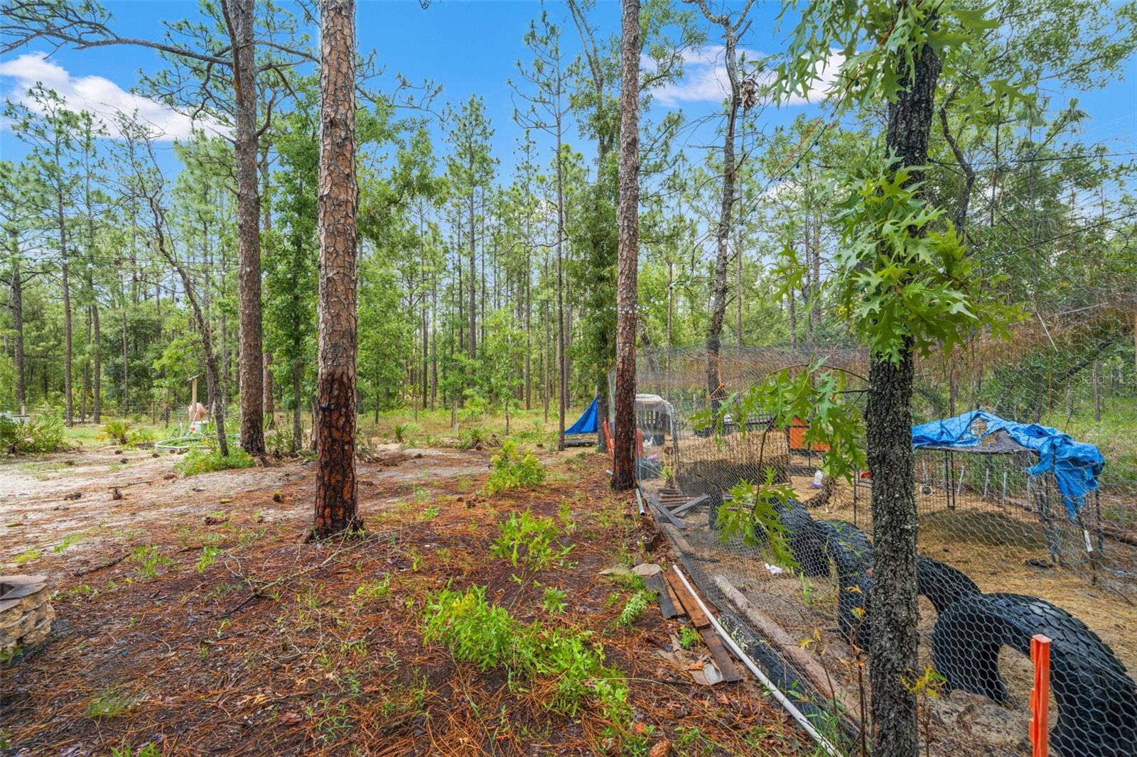 18336 MACEK RD, WEEKI WACHEE, FL, 34614