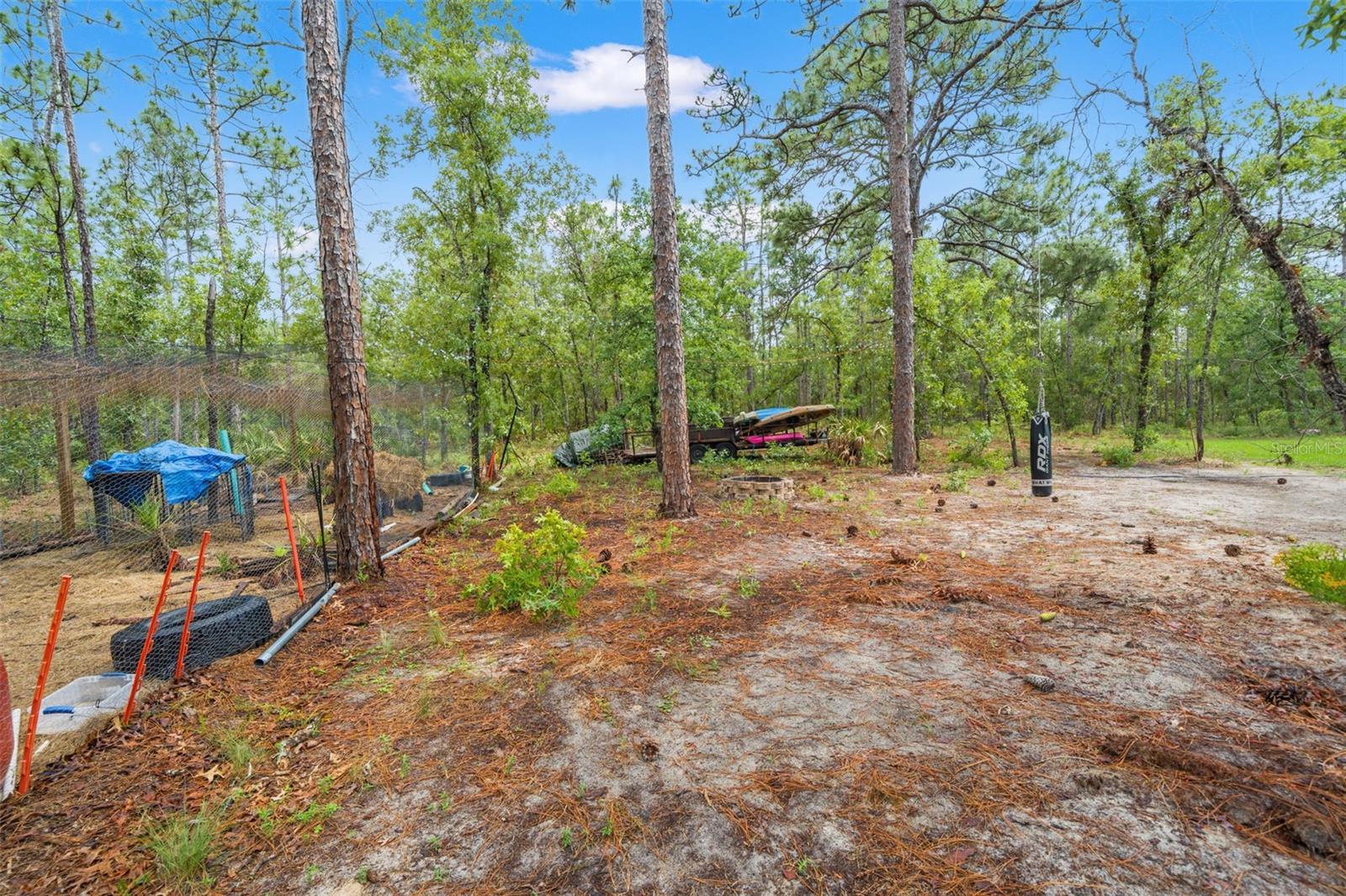 18336 MACEK RD, WEEKI WACHEE, FL, 34614